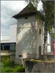 Pruntrutgare