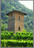 Bellinzona2