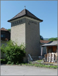 Austernen