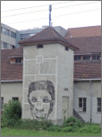 Wattwilbleiken