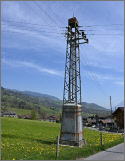 Giswilbrendli