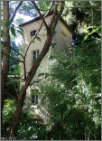 Stgallenbotanischergarten