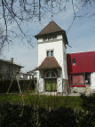 Bulleauguste