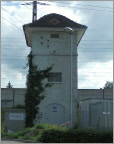 Muribeibern